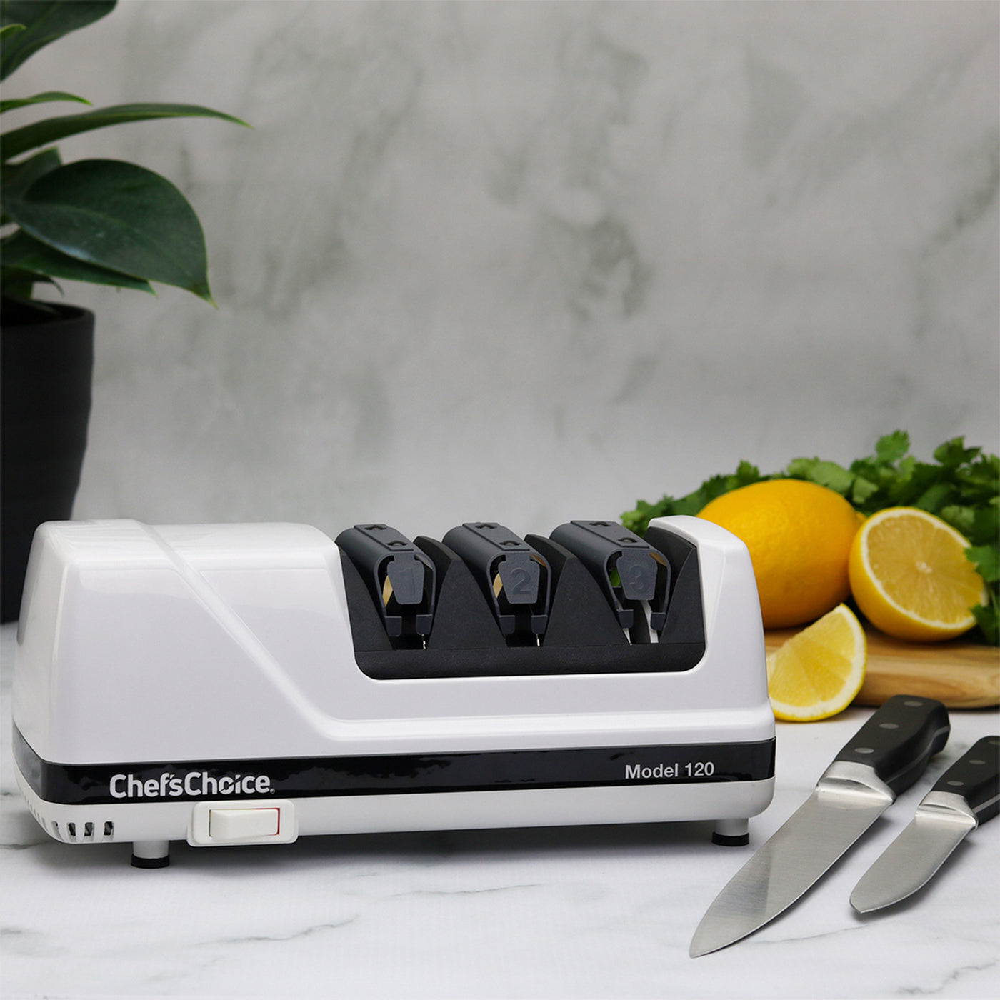 Homly Professional Electric Knife Sharpeners for Kitchen Knives with  Diamond Abrasives and Precision Angle Guides, Multifunctional 3-Stage  Slots